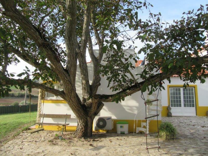 Quintal Do Freixo - Apartment